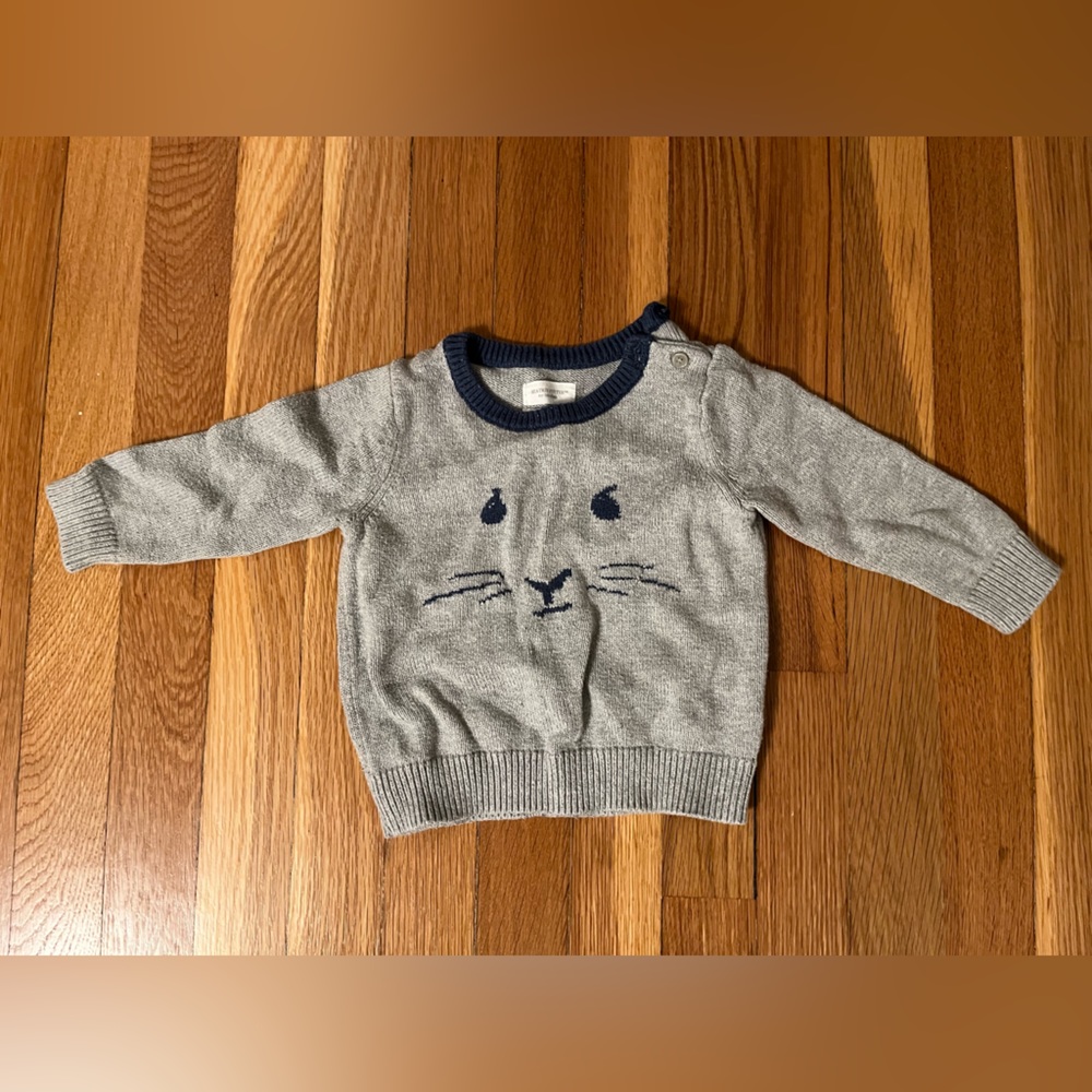 Beatrix Potter for baby gap blue bunny sweater
